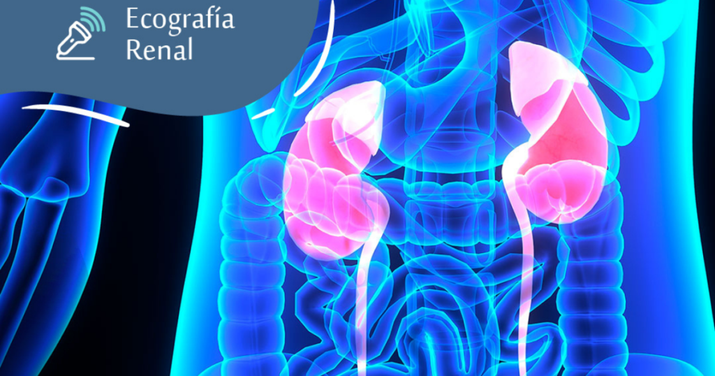 ecografía renal